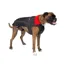 Dryrobe Dog Coat Black/Red - XS XL and 2XL